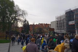 Obchody 11 listopada w Zielonej Górze