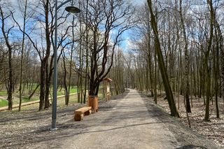 Rów Kalny w Sosnowcu znajduje się w Parku Tysiąclecia