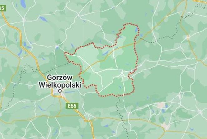 To tutaj dochodzi do największej liczby wypadków. Niechlubny ranking lubuskich powiatów