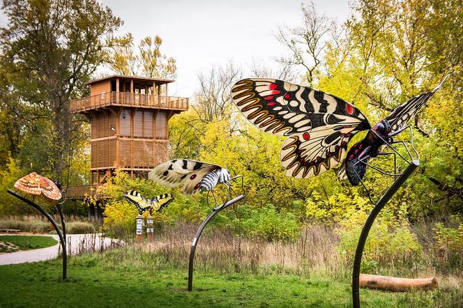 Park Dolina Wkry w Pomiechówku - spacer w koronach drzew, place zabaw, plaża