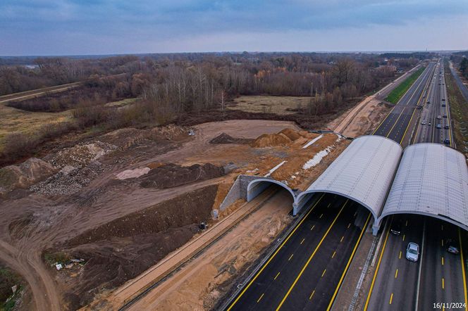 S7 Płońsk - Czosnów, budowa przejścia dla zwierząt