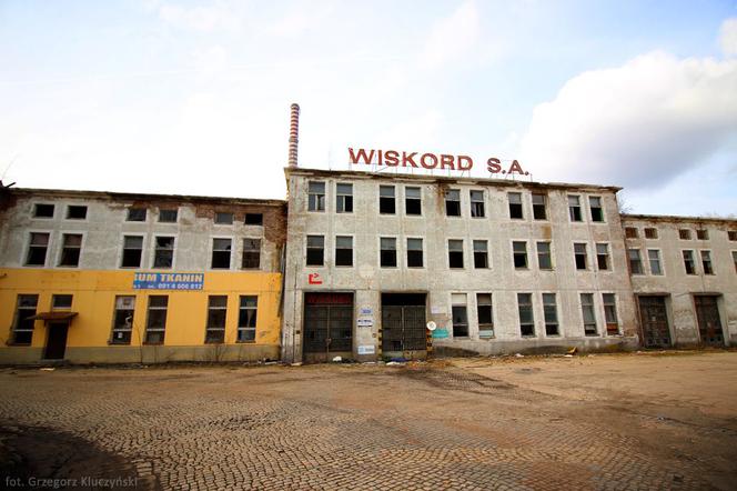 Łabędź pomylił kałużę z rzeką. Na pomoc ruszyli szczecińscy strażnicy miejscy