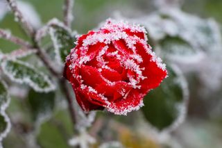 To nie koniec zimna w Świętokrzyskiem. Temperatura ma spaść do -5 stopni