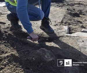 Odkrycia archeologiczne przy ul. Zbożowej