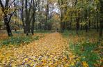 Cytadela Jesienią