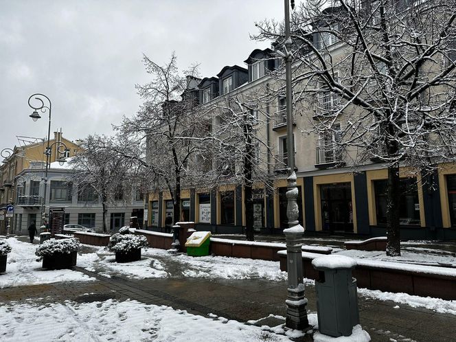 Zima w Świętokrzyskiem . Kielce (22.11.2024)