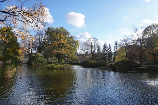 Park Wilsona jesienią