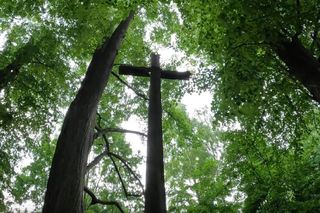 Zapytaliśmy AI o najstraszniejsze miejsce na Podlasiu. Wybór Cię zaskoczy!