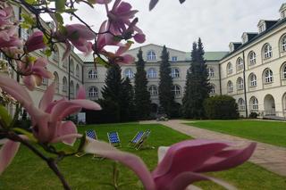 magnolie na KUL-u