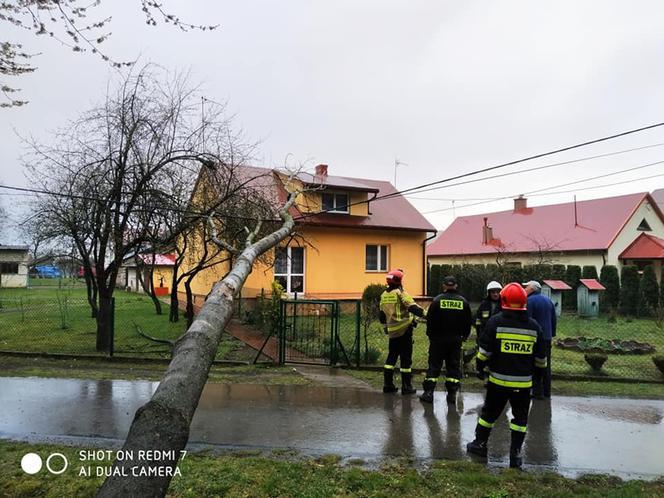 Poniedziałek Wielkanocny. Powalone drzewa i ulewy (ZDJĘCIA) 