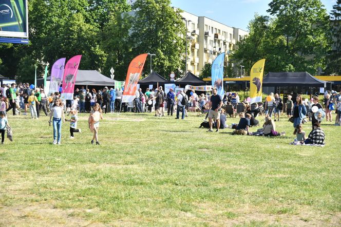 Witaj Lato na Bielanach! Wielkie gwiazdy wystąpią na dzielnicowym pikniku
