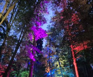 Olsztyn zamienił się w magiczną krainę. Park Świateł przyciągnął tłumy!
