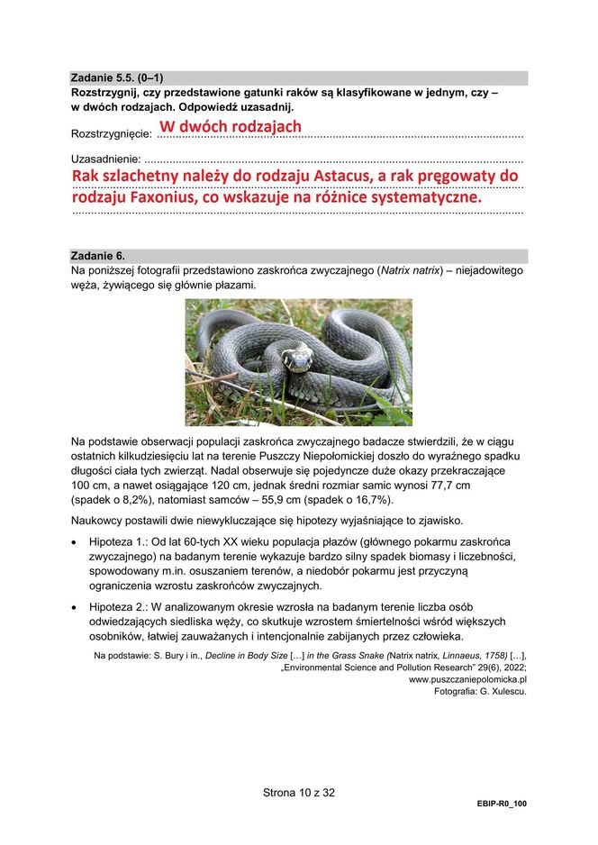 Matura 2025 biologia rozszerzona: ODPOWIEDZI do wszystkich zadań, gotowe rozwiązania matury z biologii rozszerzonej - Formuła 2015 [9.05.2025]	