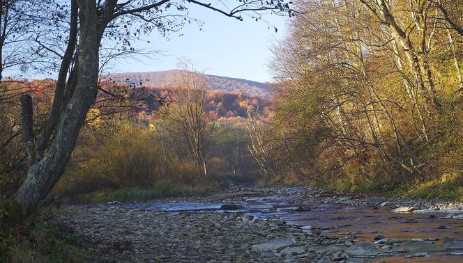 Ustrzyki Górne - tę wieś na Podkarpaciu odziedziczyła bezdzietna wdowa. W XVII wieku miejscowość zdziesiątkowało „morowe powietrze”