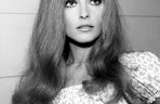 Ostatni dzień Sharon Tate. Rocznica zbrodni, która wstrząsnęła Hollywood
