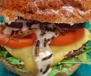 Już są w Polsce. Ta restauracja serwuje pizzę i burgery z owadami