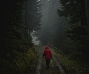 To jedno z najbardziej tajemniczych miejsc w woj. lubelskim. Leży w środku lasu