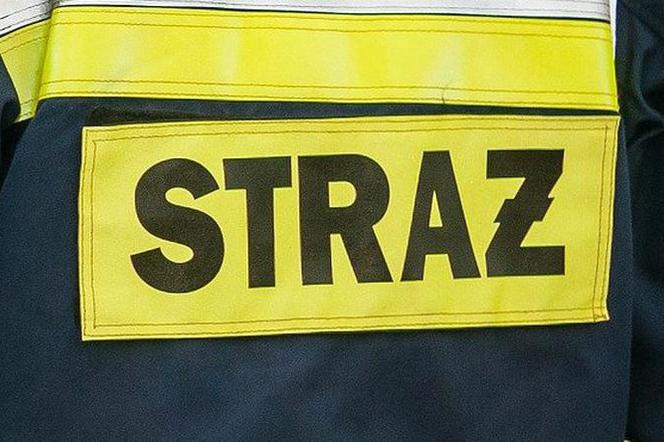 Strażacy interweniowali 46 razy 