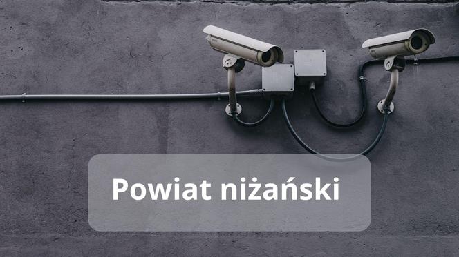 Powiat niżański   