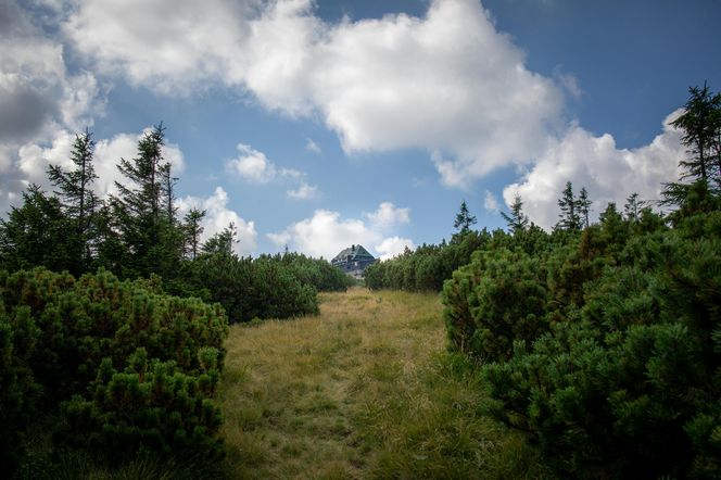 Najlepszy szlak w Karkonoszach dla rodzin z dziećmi. Malowniczy wąwóz, wodospad i słynna hala 