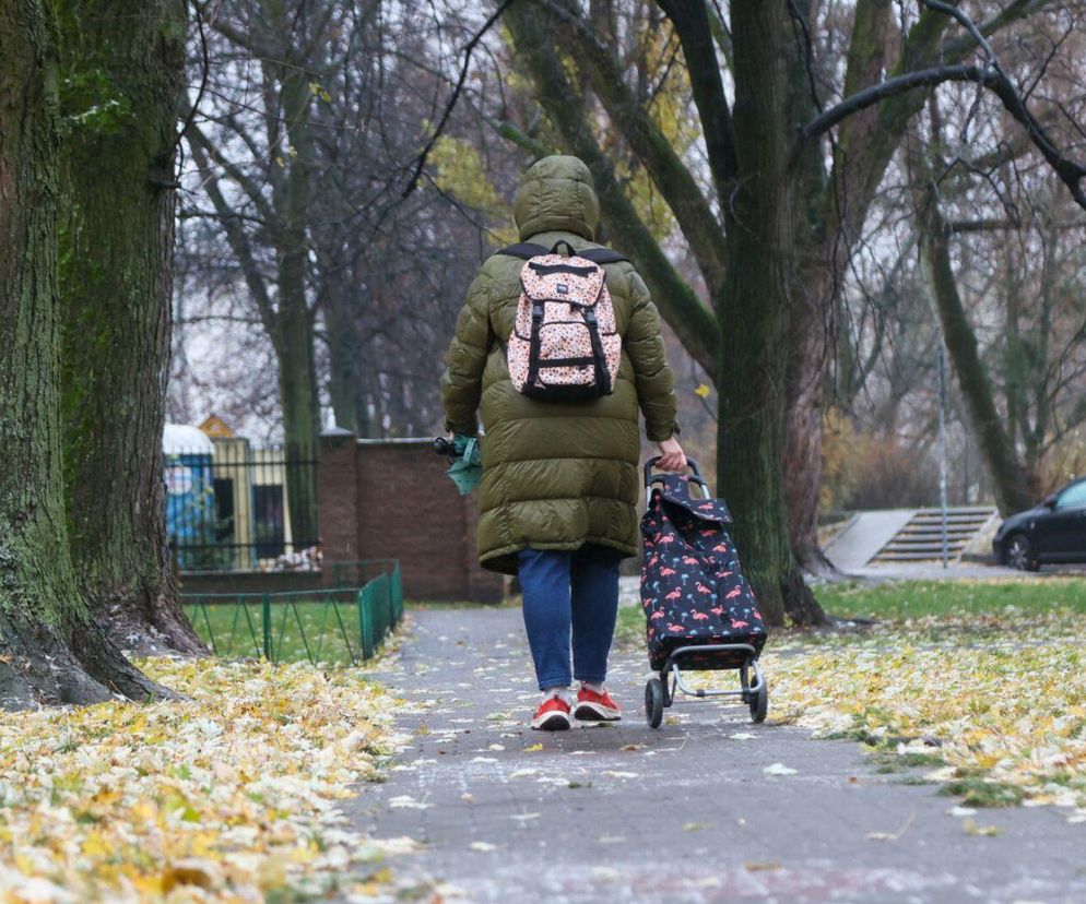 Synoptycy mieli rację! Atak zimy w listopadzie stał się faktem. Opady śniegu w tym tygodniu są już pewne!