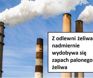 Część zgłoszeń znaleźliśmy w aplikacji Dbamy o Bydgoszcz, a część otrzymaliśmy od ratowników medycznych