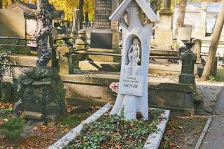 Ożywiające w miarę umierania