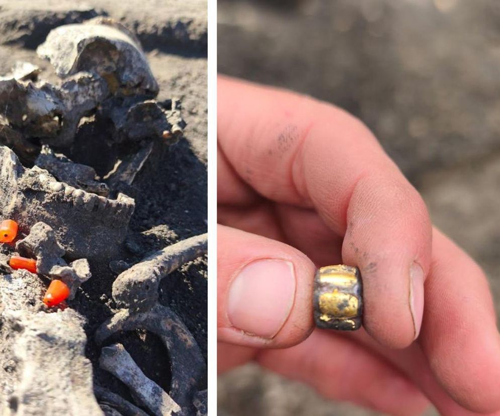 Archeolodzy odkryli pod Inowrocławiem cmentarzysko z X wieku! Chowano tam rosłych wojów. Byli tak bogaci, że leczyli sobie zęby!