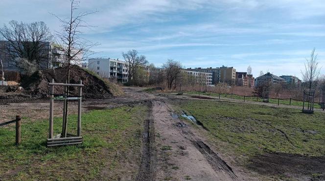 Miasto chwali się Parkiem Krzyckim. Na hucznym otwarciu mieszkańcy zastali plac budowy 