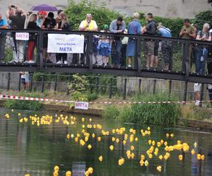 Ster na Bydgoszcz 2023. V Charytatywny Wyścig Kaczek Rotary [ZDJĘCIA]