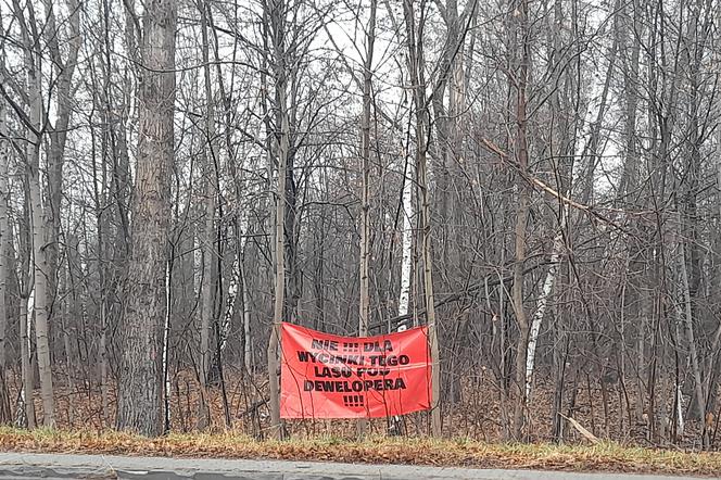 Mieszkańcy Łubowca protestują przeciwko wycince lasu