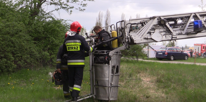 Pożar kontrolowany w Sosnowcu