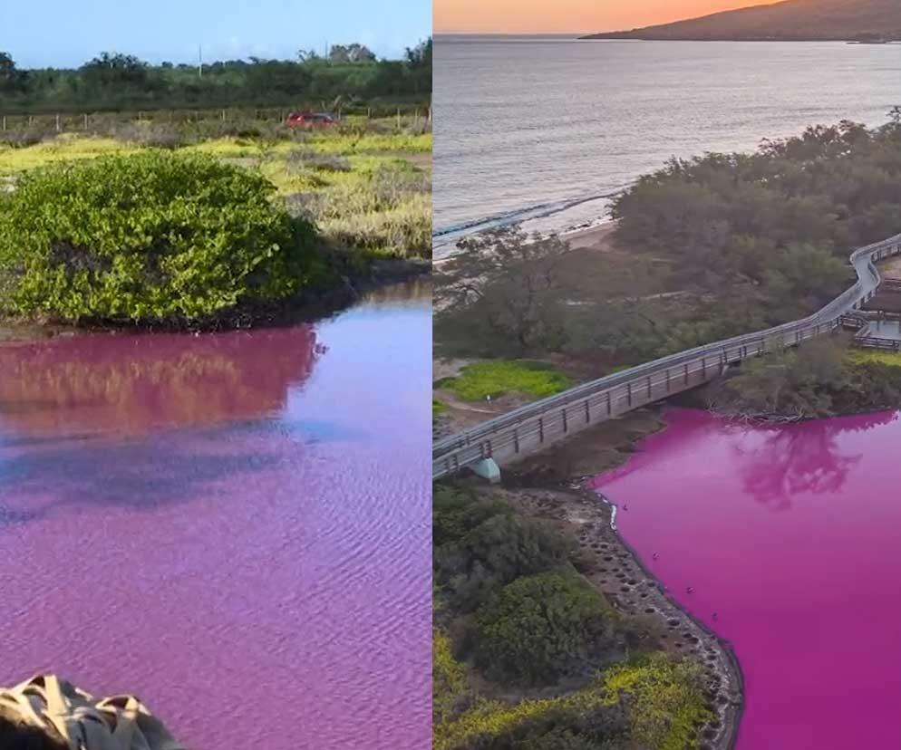 Dlaczego to jezioro stało się różowe? Dziwne zjawisko na wyspie Maui
