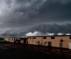 Potężne burze nad Polską. Drzewa spadały na samochody, setki interwencji straży pożarnej 