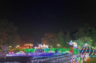 Park Miliona Świateł powraca! Zobacz, jak się prezentuje