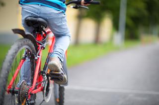 Brak karty rowerowej? Według nowych przepisów mandat będzie dwukrotnie wyższy