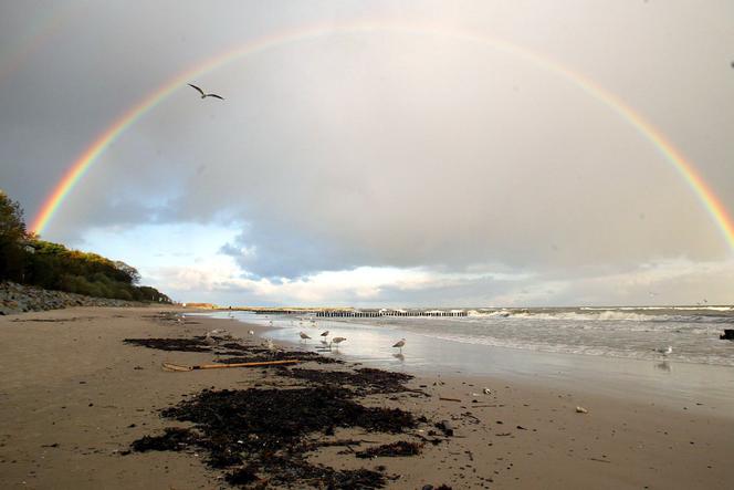 Morze Bałtyckie, plaża