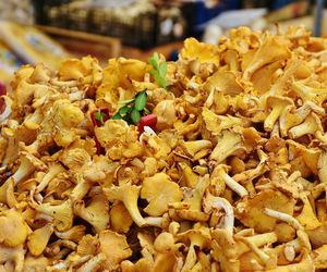 Kurki już w sprzedaży. Tyle trzeba zapłacić za kilogram grzybów