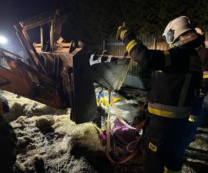 Strażacy z Solca Kujawskiego stawiali konia na nogi! Nietypowa interwencja na wagę życia