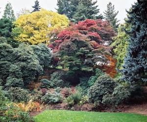 Arboretum Wojsławice prezentuje pełną paletę barw