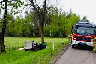 Tragedia na drodze! Czołowe zderzenie i śmierć na miejscu