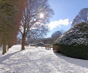 Park Oliwski. Palmiarnia i Pałac Opatów. Za darmo w Gdańsku