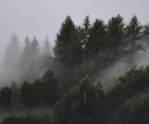 Ogromna inwestycja na jednym z najpopularniejszych stoków w Małopolsce. Jaworzyna Krynicka zmieni się nie do poznania