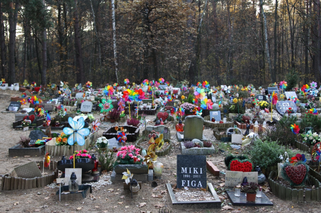 Walka o grzebowisko dla zwierząt w Krakowie trwa już 12 lat. Wciąż bez wyraźnych efektów