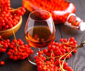 Jarzębiak – jesienny klasyk w kieliszku. Nalewka z jarzębiny na spirytusie krok po kroku