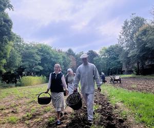 Tłumy na wykopkach w Muzeum Wsi Lubelskiej. Dla przyjemności to co innego niż z obowiązku [WIDEO]