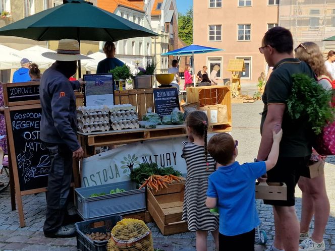 Stare Miasto w Olsztynie tętniło życiem. Zobacz, co działo się w weekend!