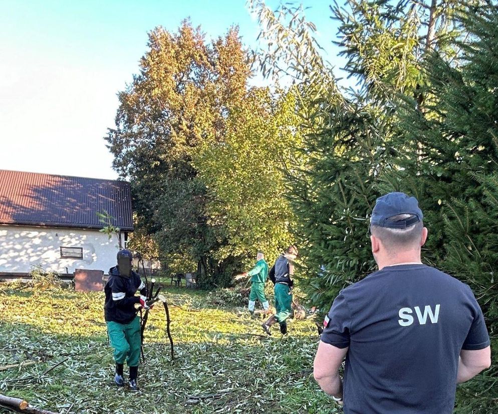 Więźniowie z Jastrzębia-Zdroju pomagają