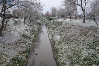 Prognoza pogody na Święta 2019