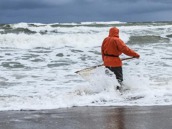 Rusz na połów bursztynu